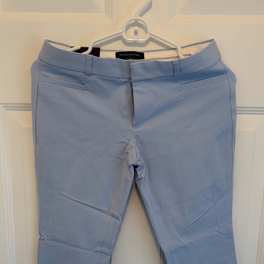 Banana Republic Sky Blue Trousers